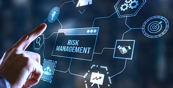 Specialized IT Audit Program