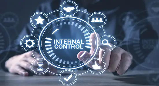 Internal Controls Review