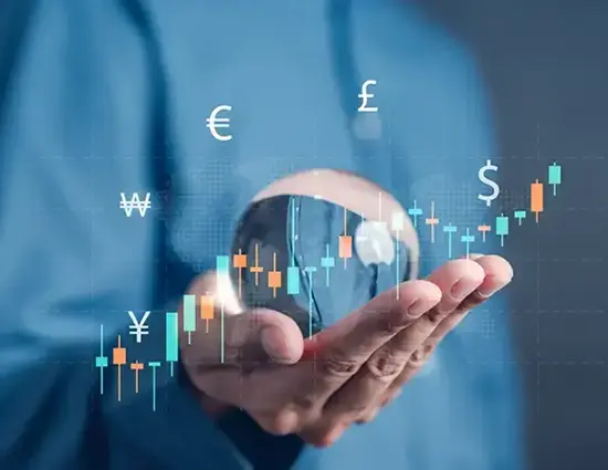 Transfer Pricing Disclosure Support